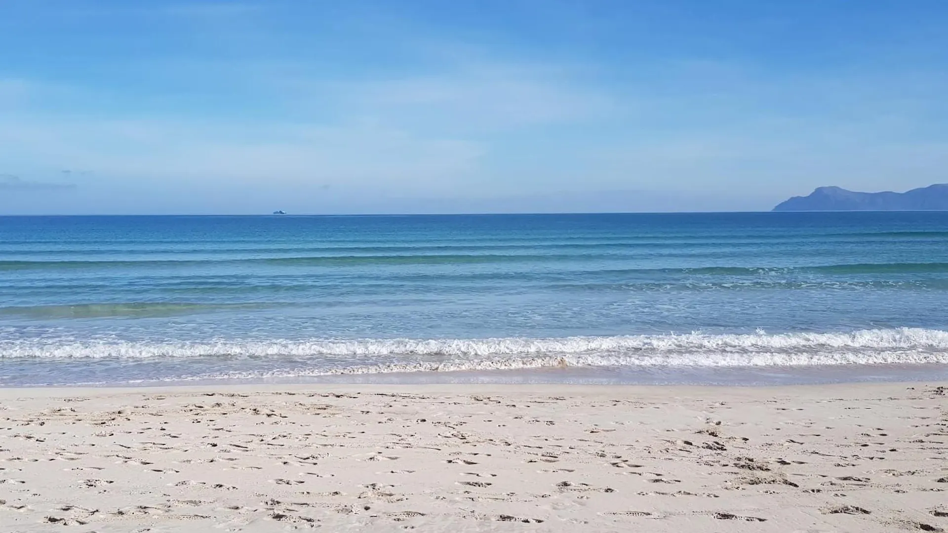 Contatti di Ideal Property Mallorca - Didi
